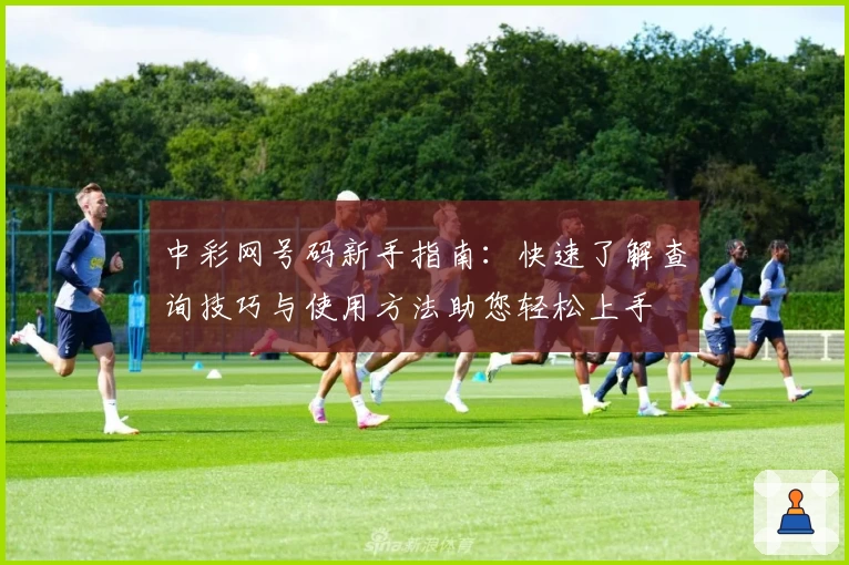 中彩网号码新手指南：快速了解查询技巧与使用方法助您轻松上手