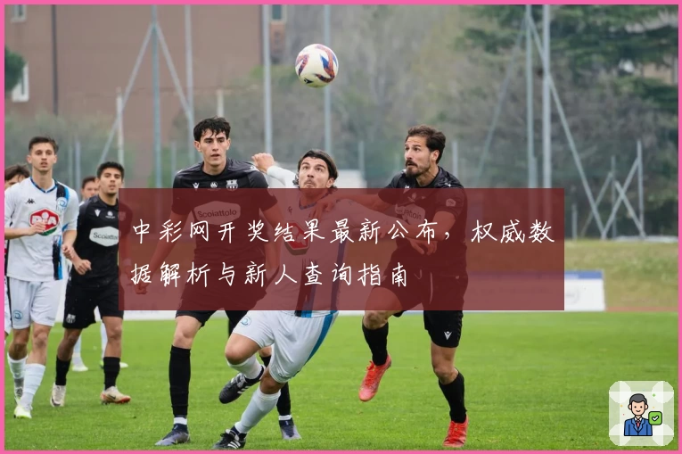 中彩网开奖结果最新公布，权威数据解析与新人查询指南