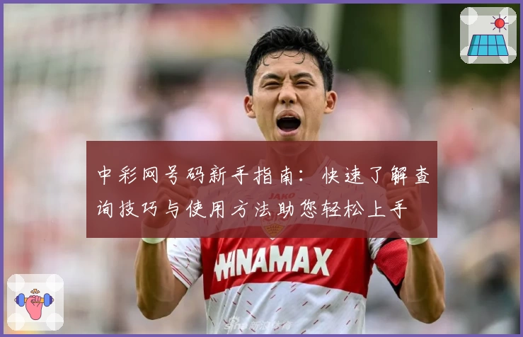 中彩网号码新手指南：快速了解查询技巧与使用方法助您轻松上手