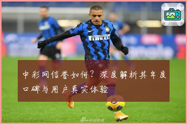 中彩网信誉如何？深度解析其年度口碑与用户真实体验