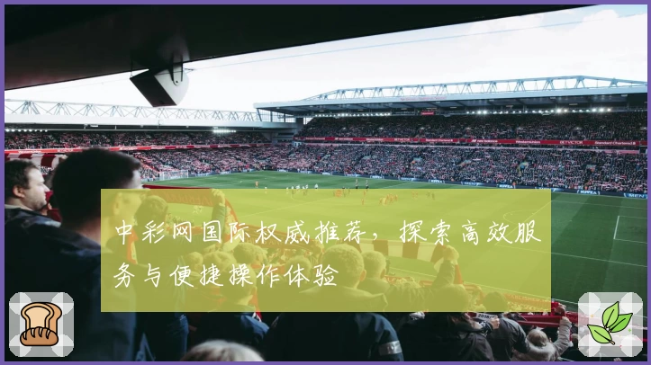 中彩网国际权威推荐，探索高效服务与便捷操作体验
