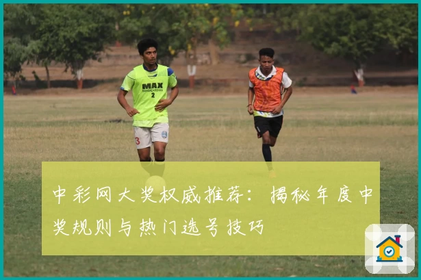 中彩网大奖权威推荐：揭秘年度中奖规则与热门选号技巧